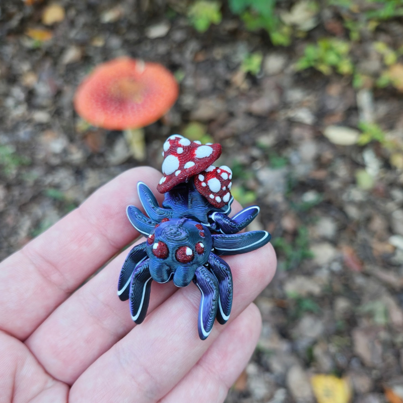 Grzybkowy Pajączek Skakun