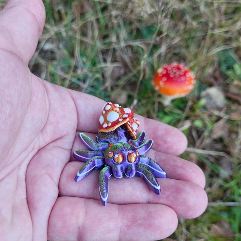 Grzybkowy Pajączek Skakun - obrazek 2