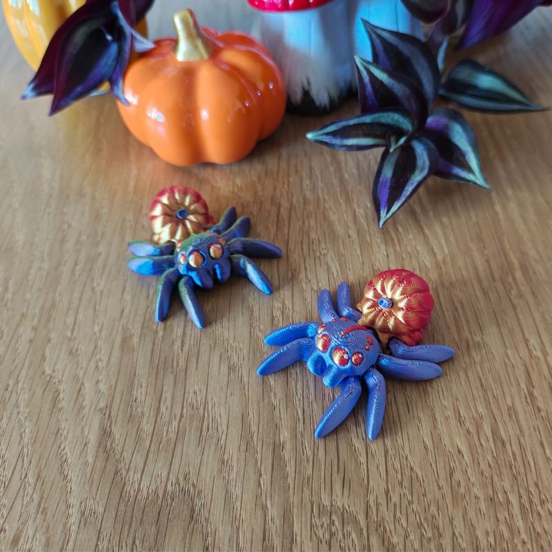 Dyniowy Pajączek Skakun