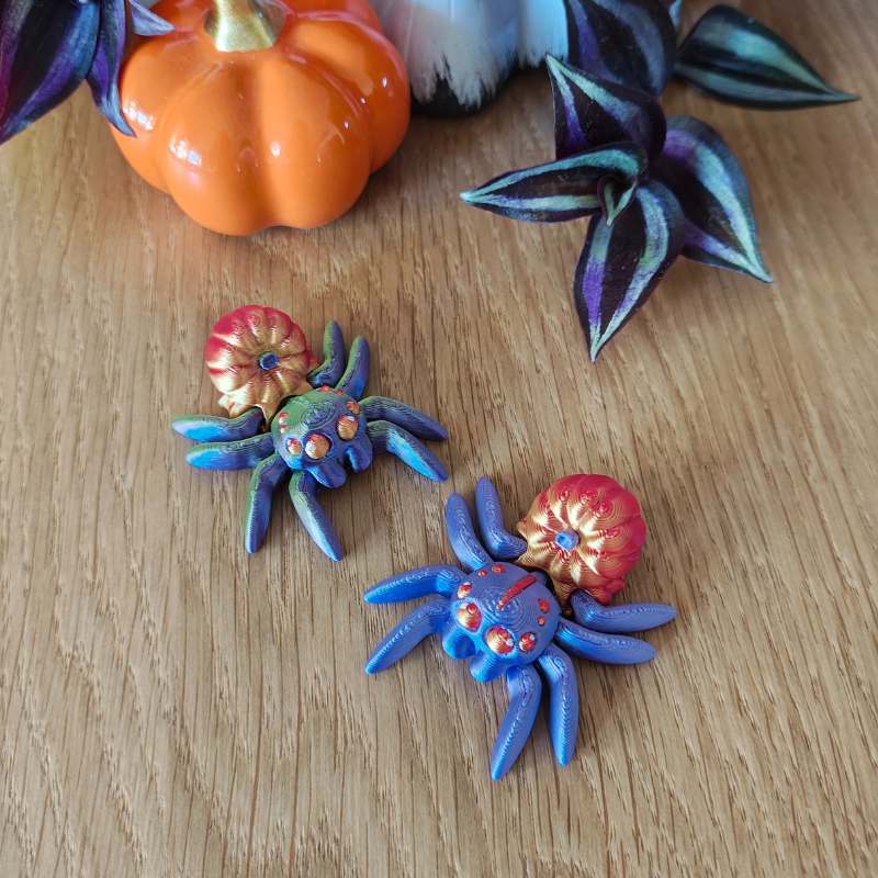 Dyniowy Pajączek Skakun - obrazek 9