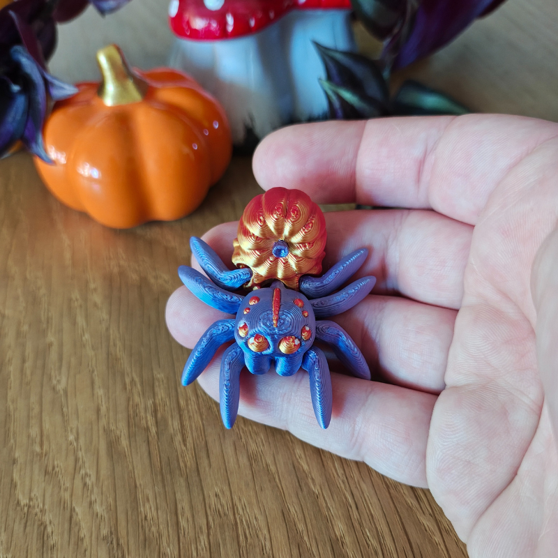 Dyniowy Pajączek Skakun - obrazek 2