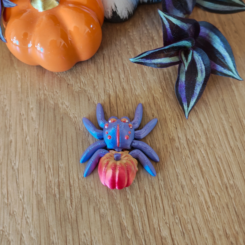 Dyniowy Pajączek Skakun - obrazek 4