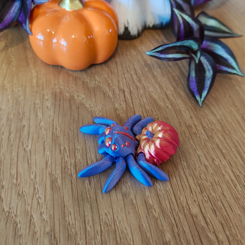 Dyniowy Pajączek Skakun - obrazek 3