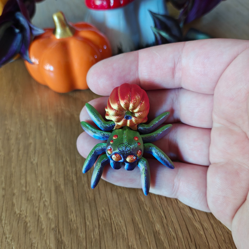 Dyniowy Pajączek Skakun - obrazek 5