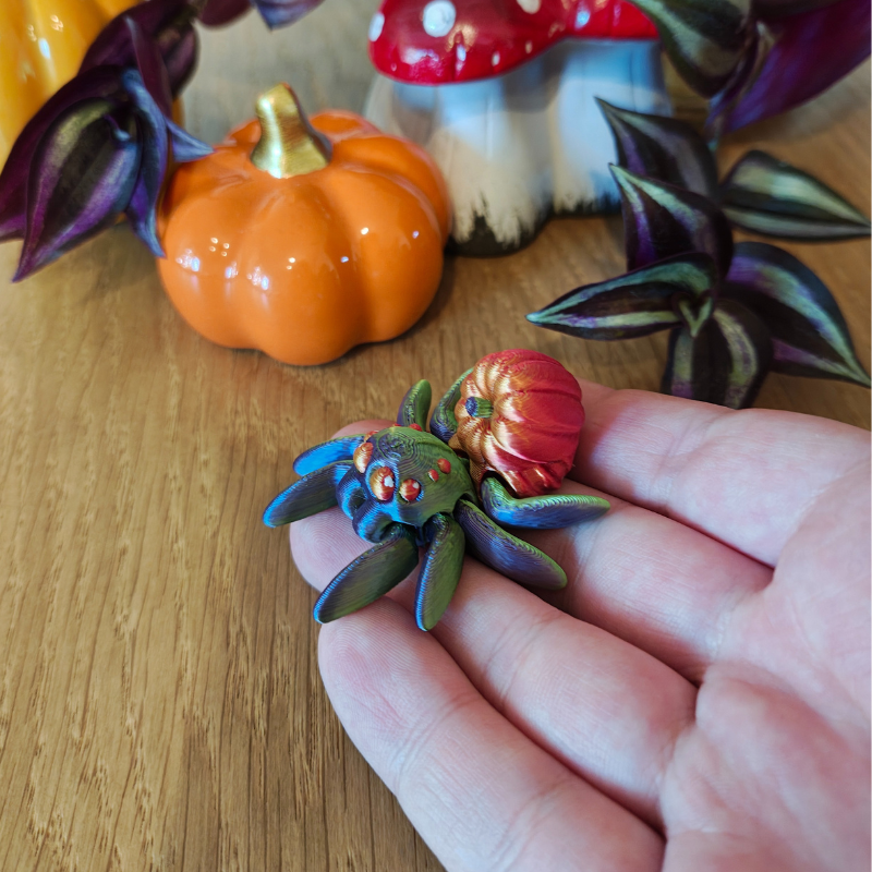 Dyniowy Pajączek Skakun - obrazek 6