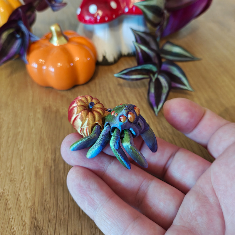 Dyniowy Pajączek Skakun - obrazek 7