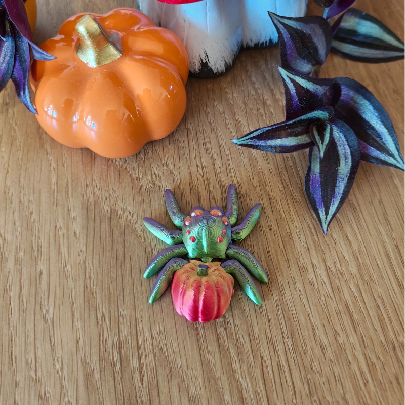 Dyniowy Pajączek Skakun - obrazek 8