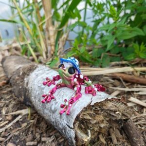 Żabka-Podróżnik w Grzybowym Kapeluszu (XS, różne kolory)